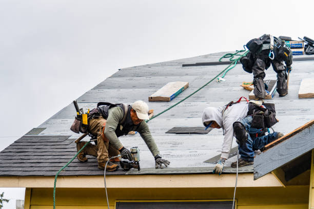 Professional Gutter Installation technician working in Lorraine, NY